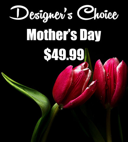 Mother's Day  - Designer's Choice Arrangement