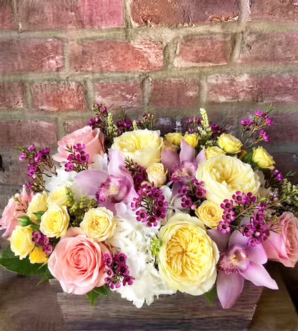 Spring Garden